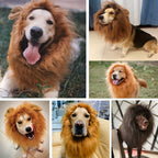 Dog Lion Mane Halloween Costume, Plush, Adjustable, Sizes S–L, view 3