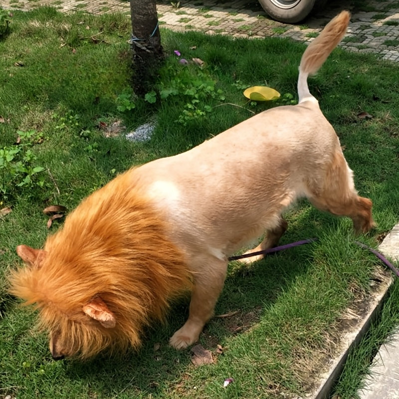 Dog Lion Mane Halloween Costume, Plush, Adjustable, Sizes S–L