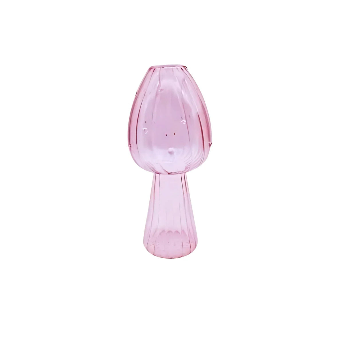 Elbuna Vase Collection - Set of 5