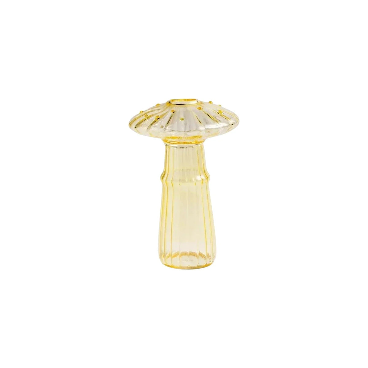 Elbuna Vase Collection - Set of 5