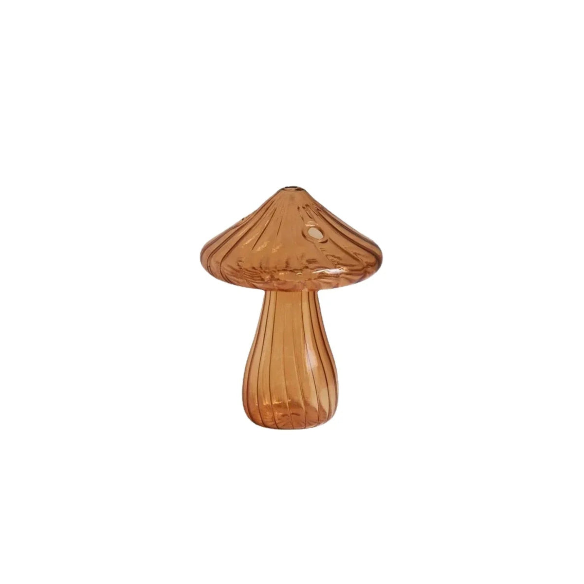 Elbuna Vase Collection - Set of 5