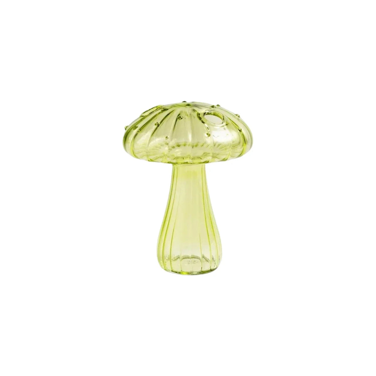Elbuna Vase Collection - Set of 5