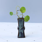 Elegant Ceramic Vase with Artistic Design | Thrascher