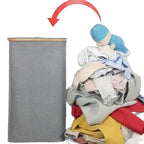 Elegant Laundry Bin with Removable Lid and Inner Bag | Thrascher