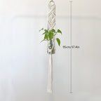 Elegant Macrame Plant Hanger | Thrascher