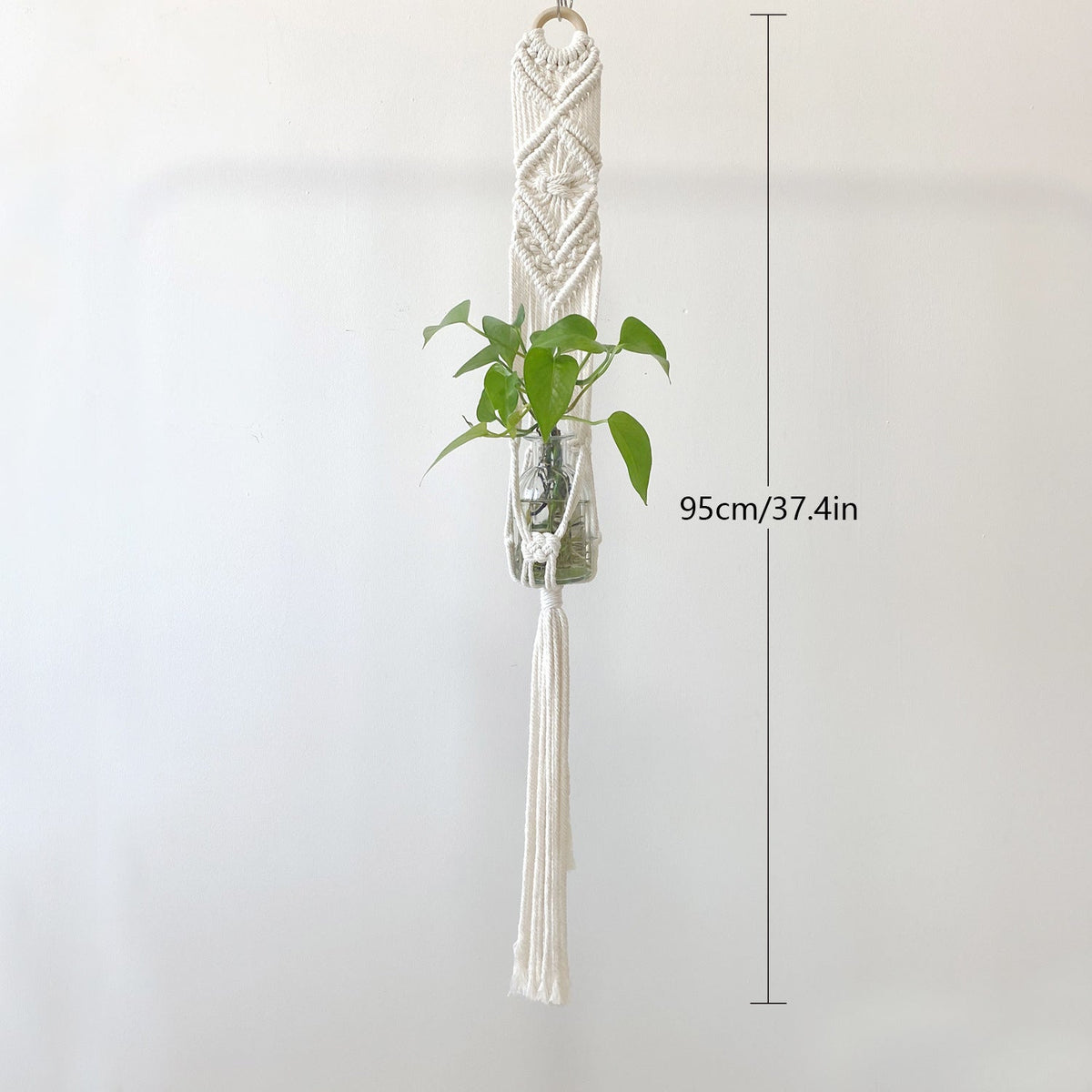 Elegant Macrame Plant Hanger | Thrascher