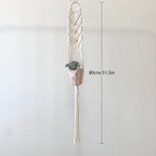 Elegant Macrame Plant Hanger | Thrascher