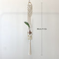 Elegant Macrame Plant Hanger | Thrascher