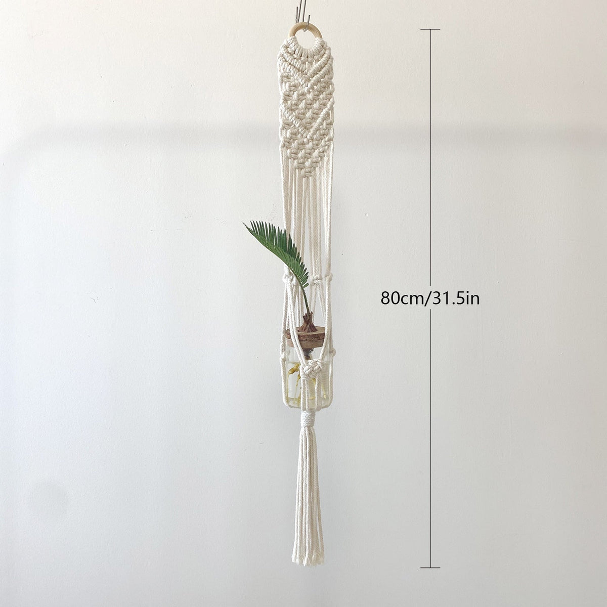 Elegant Macrame Plant Hanger | Thrascher