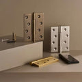 Emsteno Door Hinge