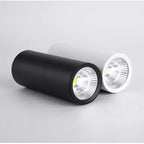 Falndola Black LED Surface Mounted Downlight