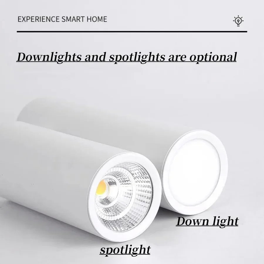 Falndola Black LED Surface Mounted Downlight
