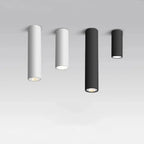Falndola White LED Surface Mounted Downlight