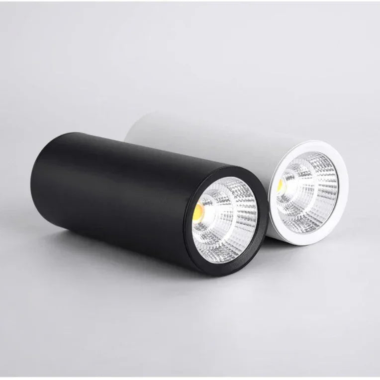 Falndola White LED Surface Mounted Downlight