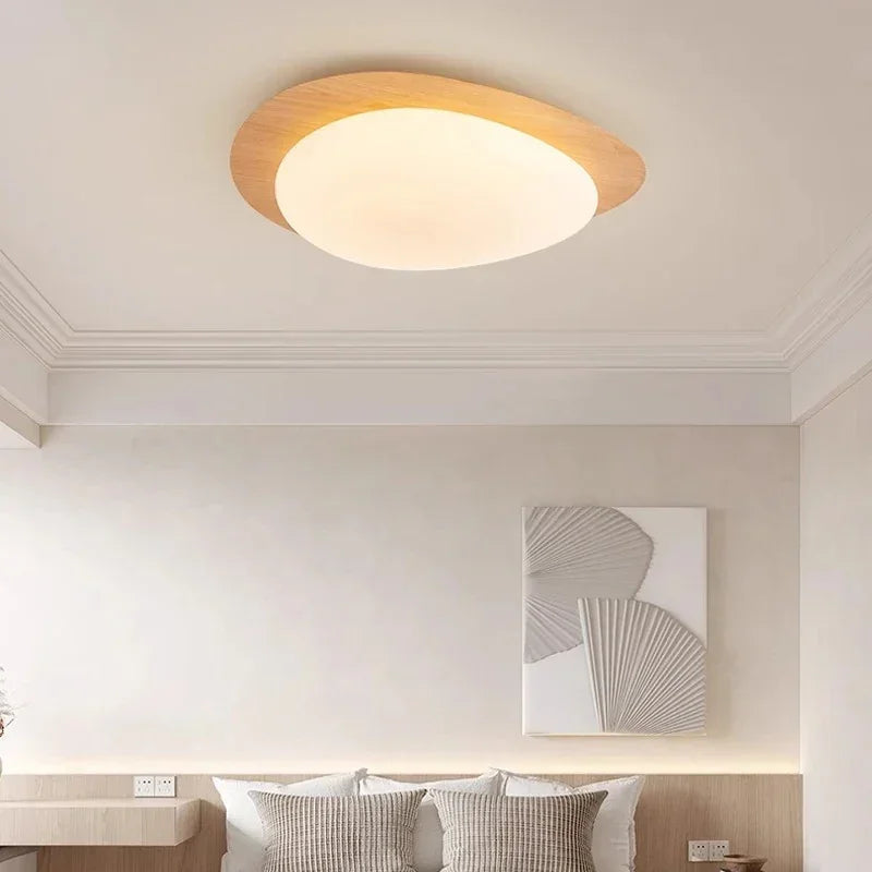 Falnova Ceiling Light