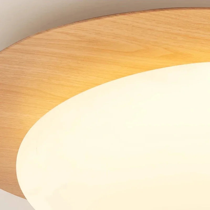 Falnova Ceiling Light