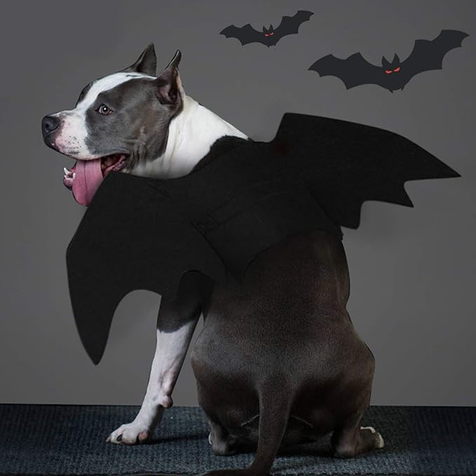 Felt Halloween Dog Costume with Bat Wings, Adjustable Straps, view 4