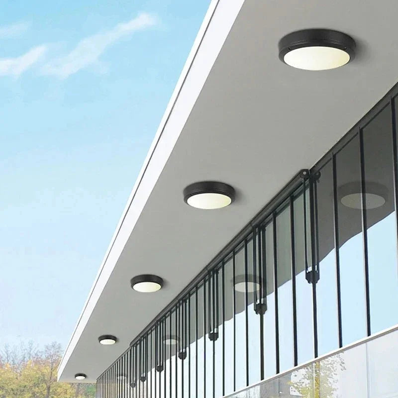 Gallina Outdoor Light