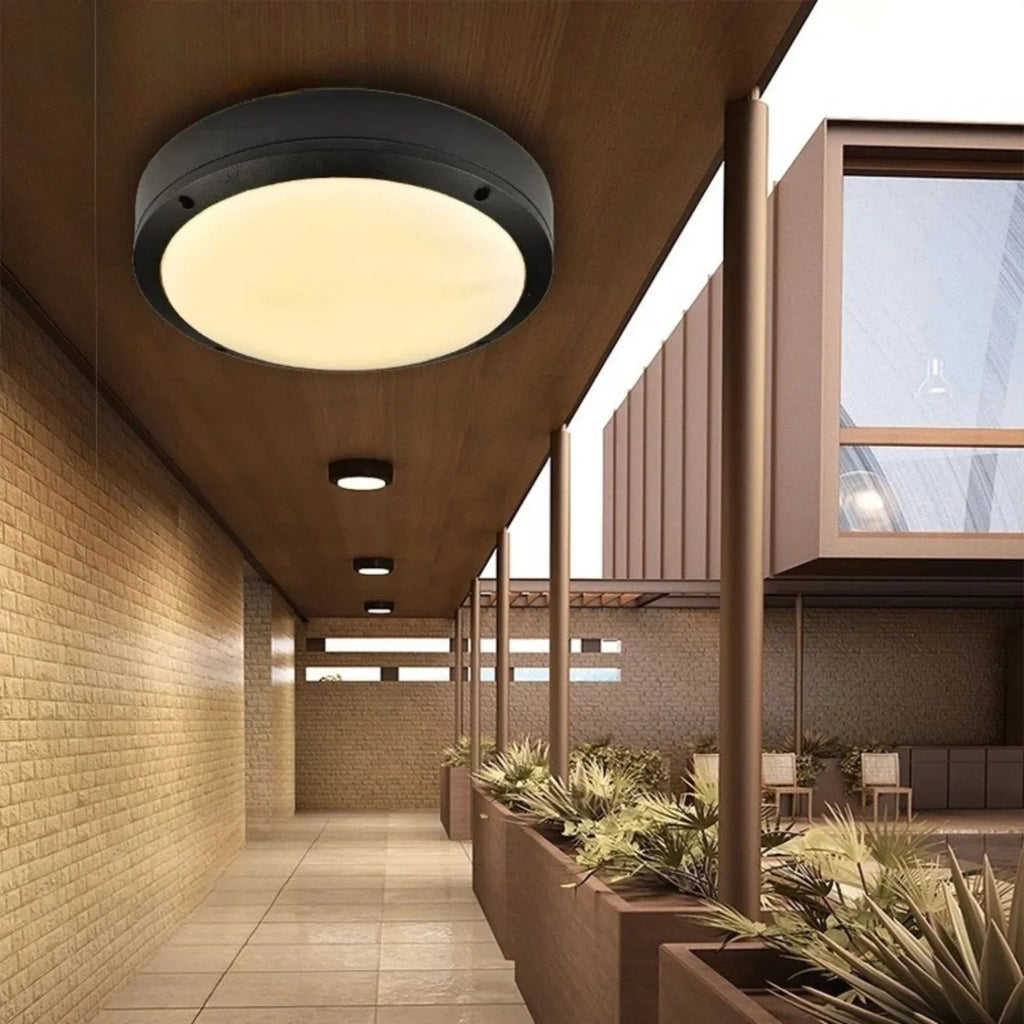 Gallina Outdoor Light