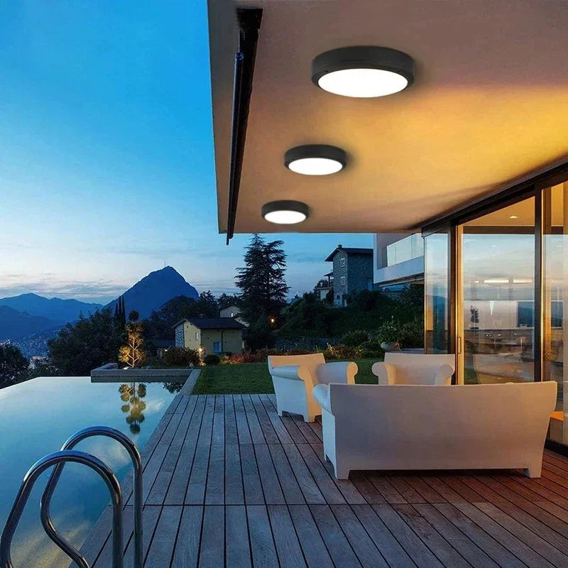 Gallina Outdoor Light