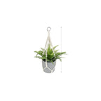 Hanging Macrame Plant Holder Dark Blue Cotton Rope | Thrascher