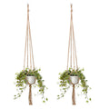 Hanging Plant Holder | Thrascher