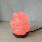Himalayan Salt Crystal Sphere Lamp with Color Changing LED and Natural Wood Base | Thrascher