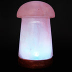 Himalayan Salt Crystal Sphere Lamp with Color Changing LED and Natural Wood Base | Thrascher