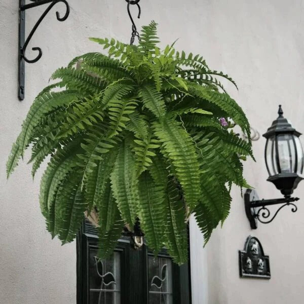 UV-Resistant Artificial Boston Fern, PVC, Adjustable Stems
