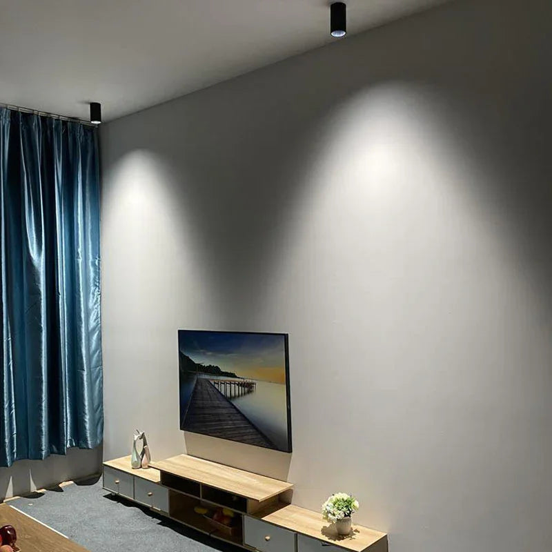 Jalndessa Surface Mounted Downlight