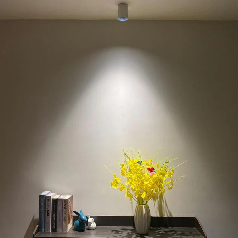 Jalndessa Surface Mounted Downlight