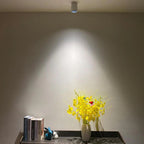 Jalndessa Surface Mounted Downlight