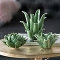 Jorlira Candle Holder