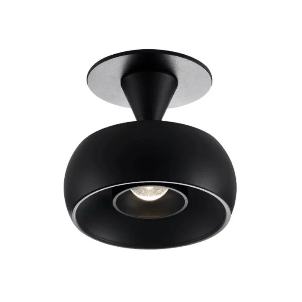 Jorneno Spotlight