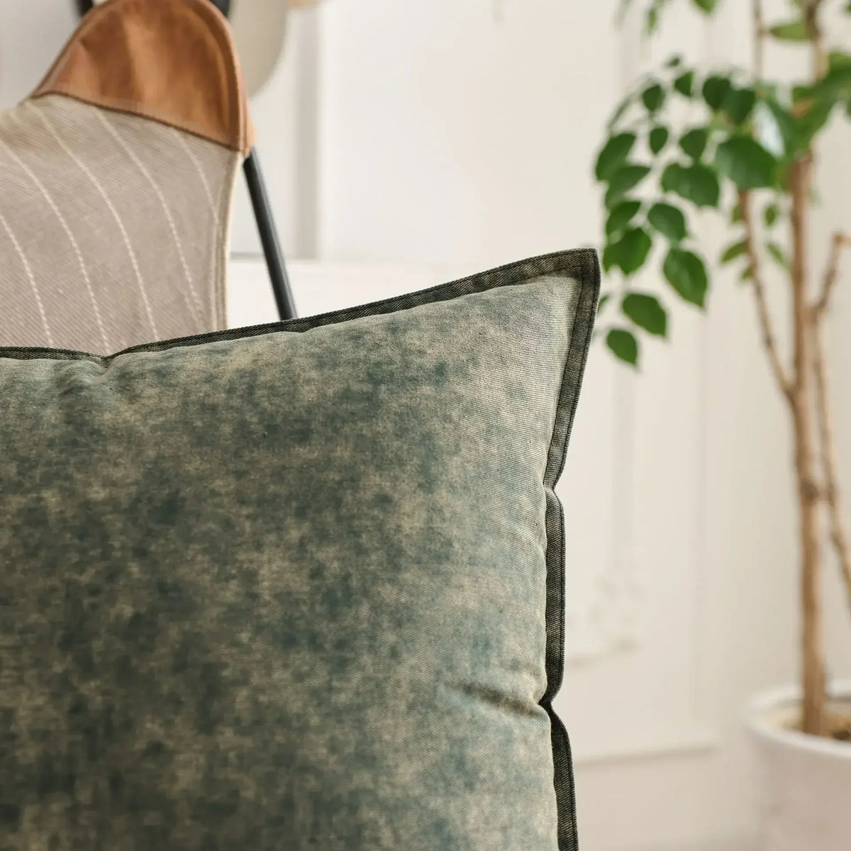 Jortesa Cushion Cover Collection