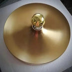 Kalsuna Wall and Ceiling Light
