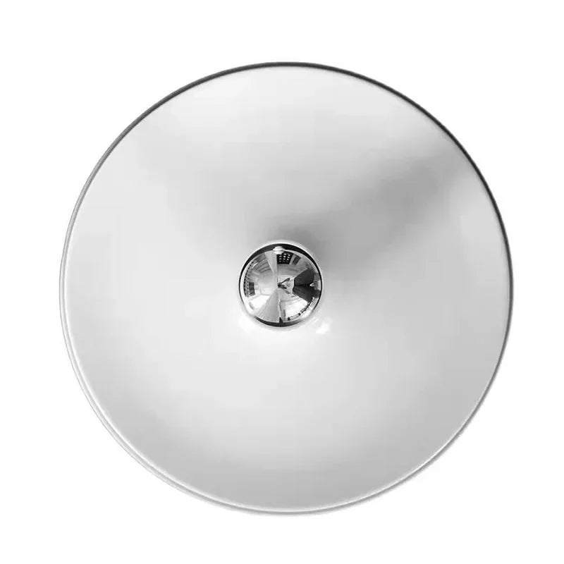Kalsuna Wall and Ceiling Light