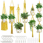 Macrame Plant Hanger Set | Thrascher