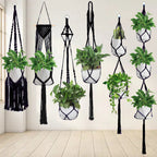 Macrame Plant Hanger Set | Thrascher