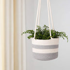 Macrame Plant Swing | Thrascher