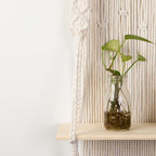 Macrame Wall Shelf with Integrated Plant Holder | Thrascher