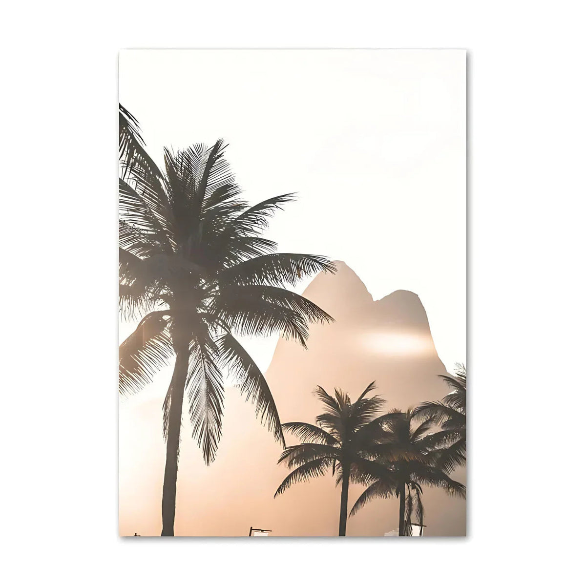 Marndora Print Collection