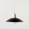 Modern Minimalistic Dome Pendant Light | Thrascher