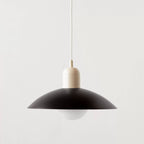 Modern Minimalistic Dome Pendant Light | Thrascher