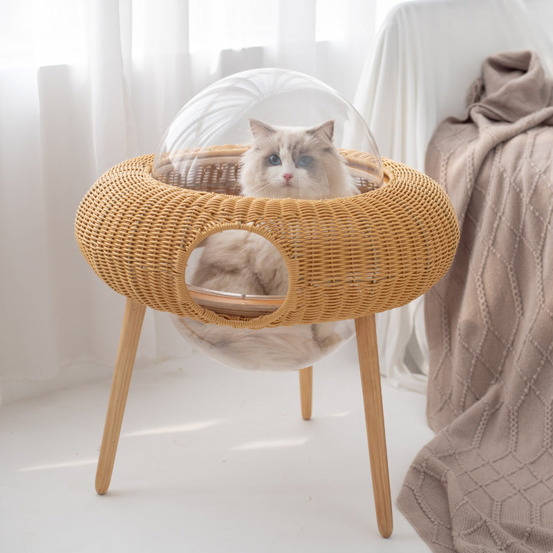 Multifunctional Cat Furniture | Thrascher