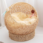 Natural Fiber Cat Furniture | Thrascher