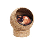 Natural Fiber Cat Furniture | Thrascher