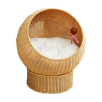 Natural Fiber Cat Furniture | Thrascher