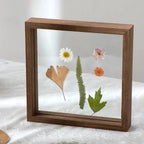 Ormosa Frame Collection