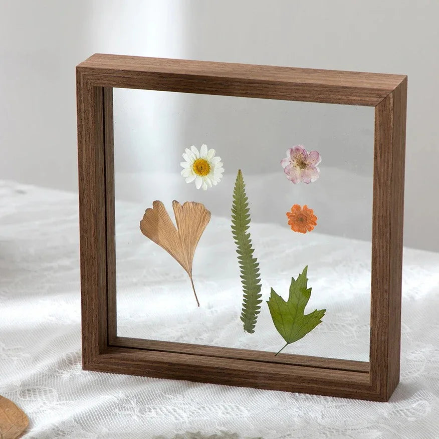 Ormosa Frame Collection